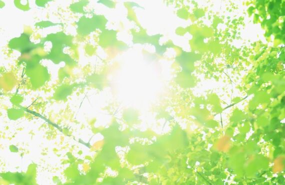 自律神経の乱れを整えるなら古賀市の「かじ整骨院」。自律神経の専門的な施術と機器によりカラダやココロの不調を整えます。